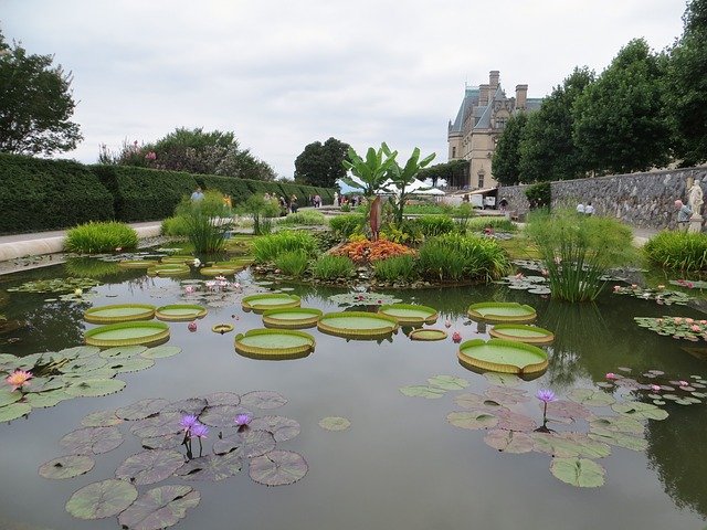 Biltmore Estate