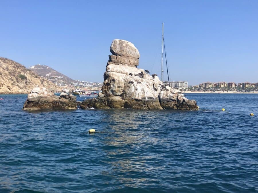 Things to do in Cabo San Lucas