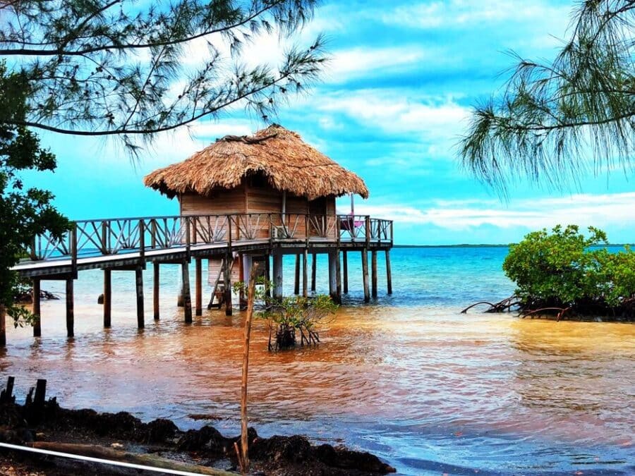 Thatch Caye Belize