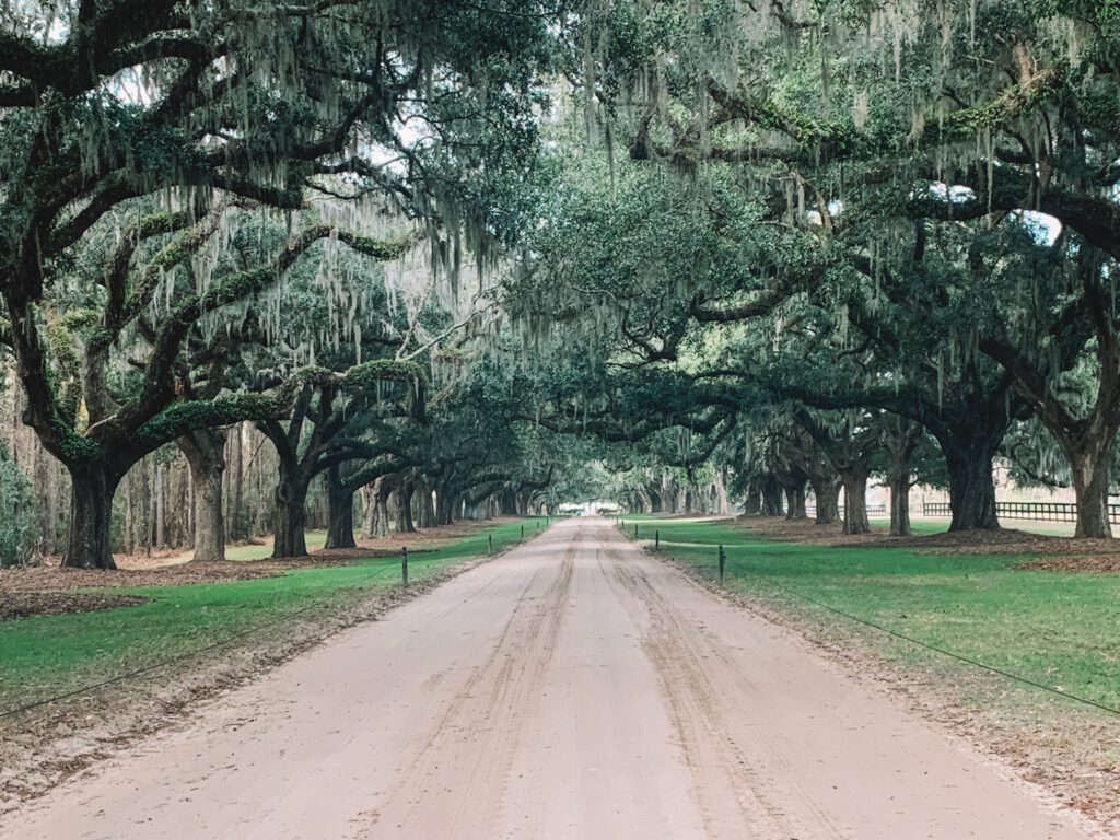 three days in Charleston