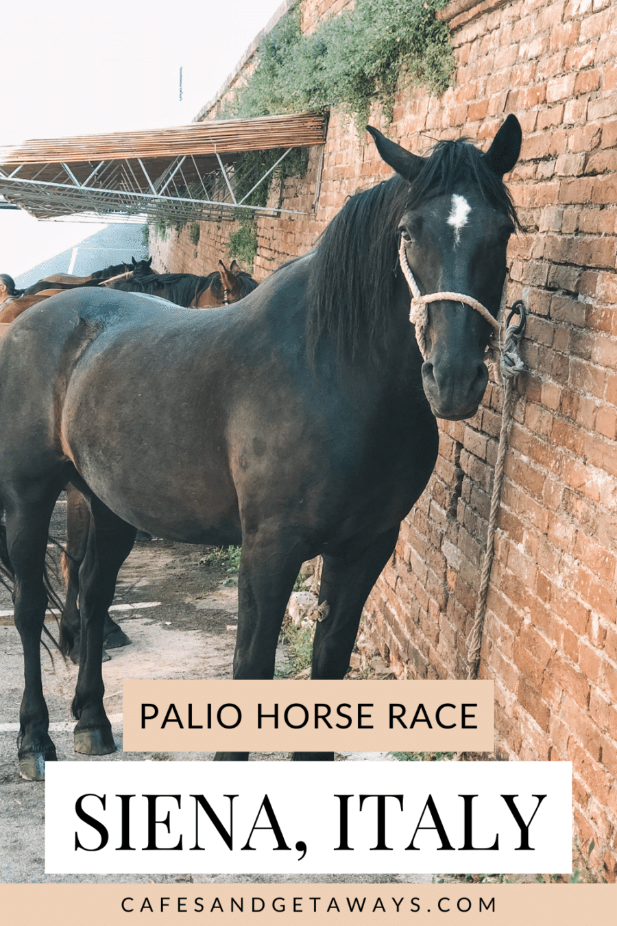 Palio of Siena