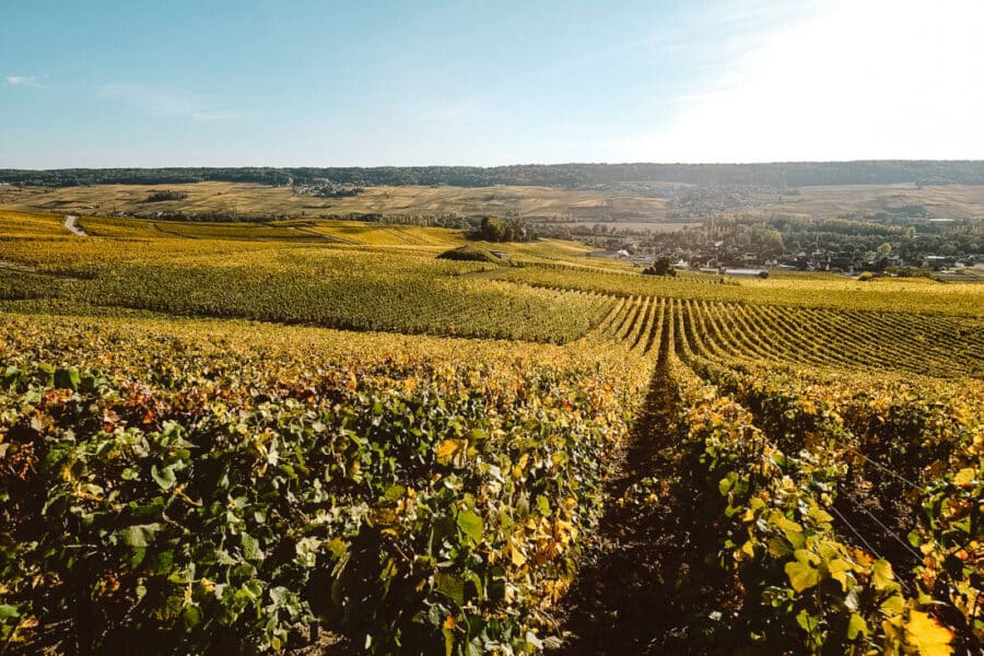 best wine regions in France