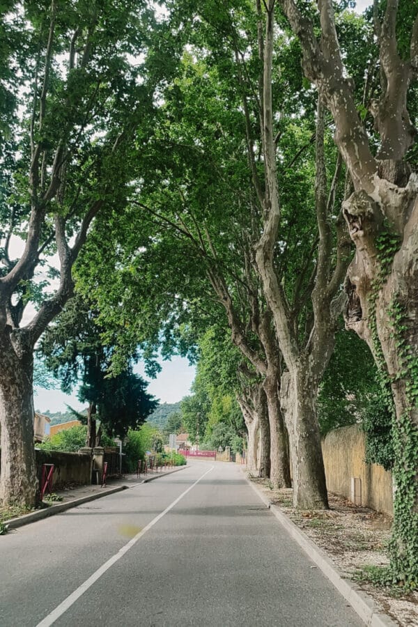 driving in the South of France